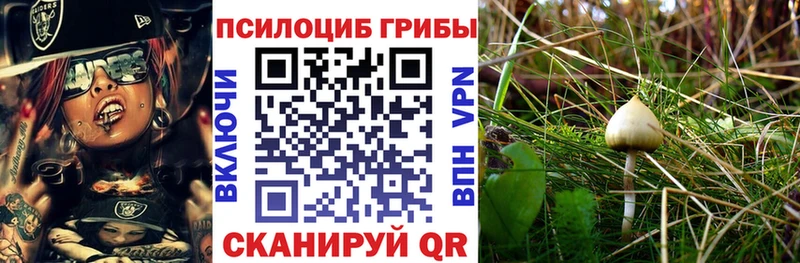 Псилоцибиновые грибы Cubensis  Белоусово 